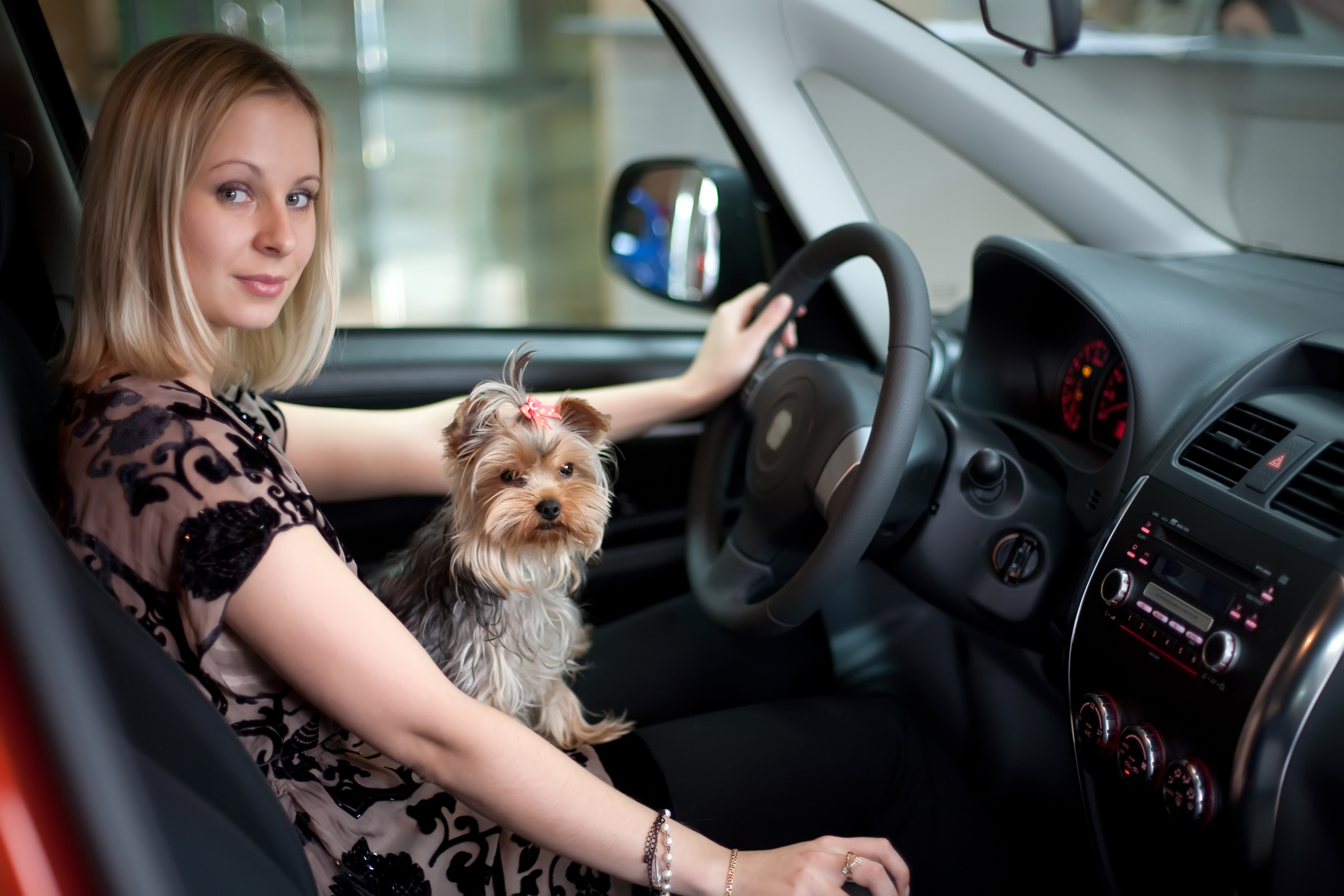 zaplacic mniej za wynajety samochod w szczecinie w platinum rent