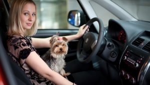 zaplacic mniej za wynajety samochod w szczecinie w platinum rent